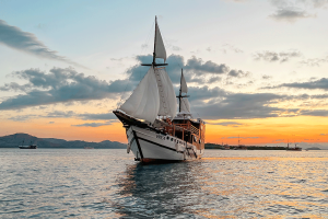 3 Days Shared Komodo Tour