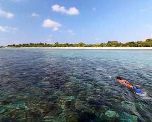 diving, snorkeling in Lombook