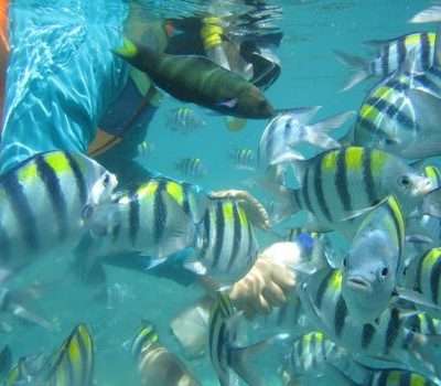 Gili Nanggu Full-Day Snorkeling Tour