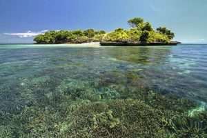 Pink Beach Snorkeling Tour Package