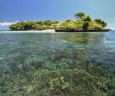 Pink Beach Snorkeling Tour Package