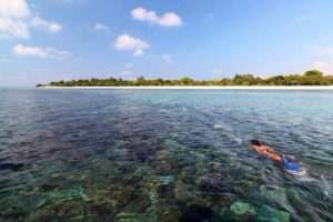 Gili Islands Full-Day Snorkeling Tour