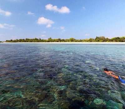 Gili Islands Full-Day Snorkeling Tour