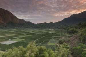 Sembalun Village day Tour