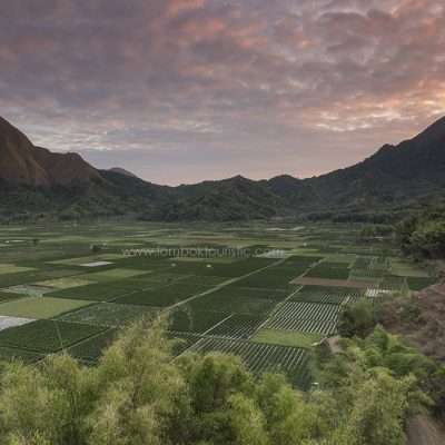 Sembalun Village day Tour