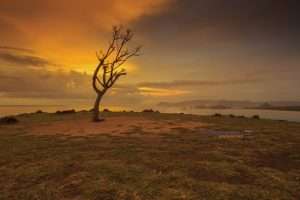 Bukit Merese Day Tour