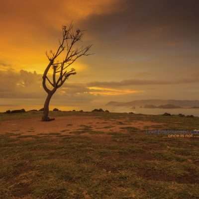 Bukit Merese Day Tour