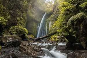 Full Day Tiu Kelep Waterfall Tour