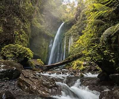 Full Day Tiu Kelep Waterfall Tour