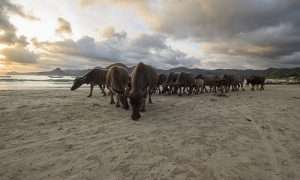 Tours, sightseeing Lombok