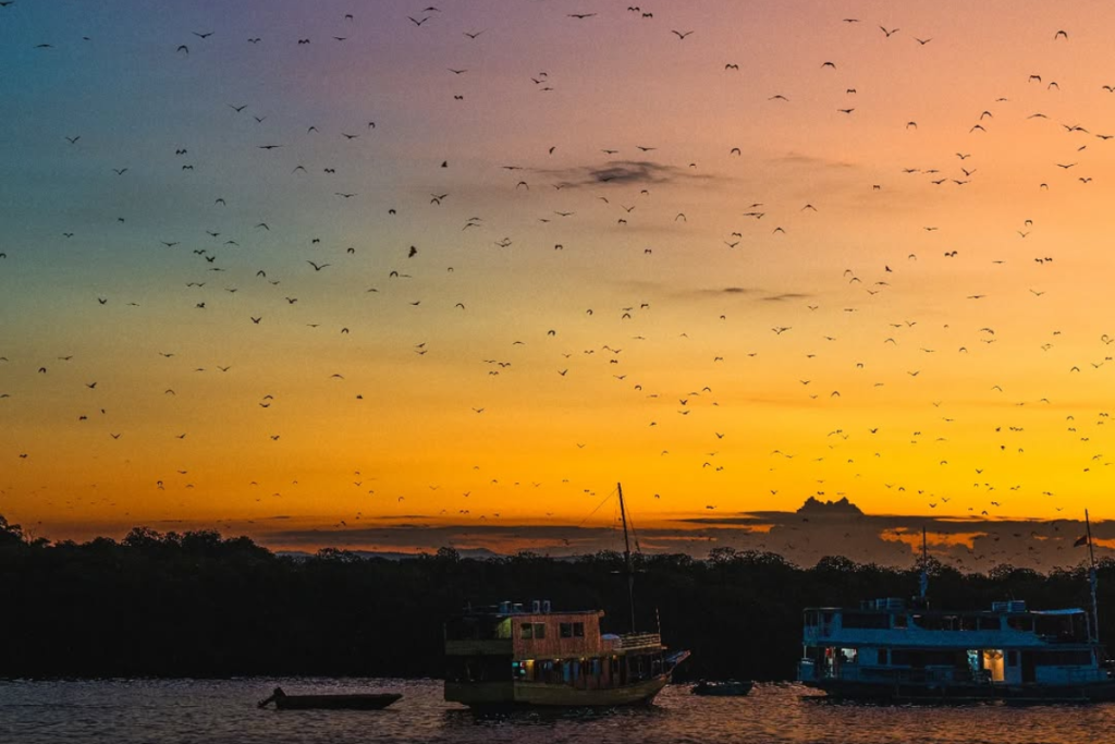 Komodo Island itinerary