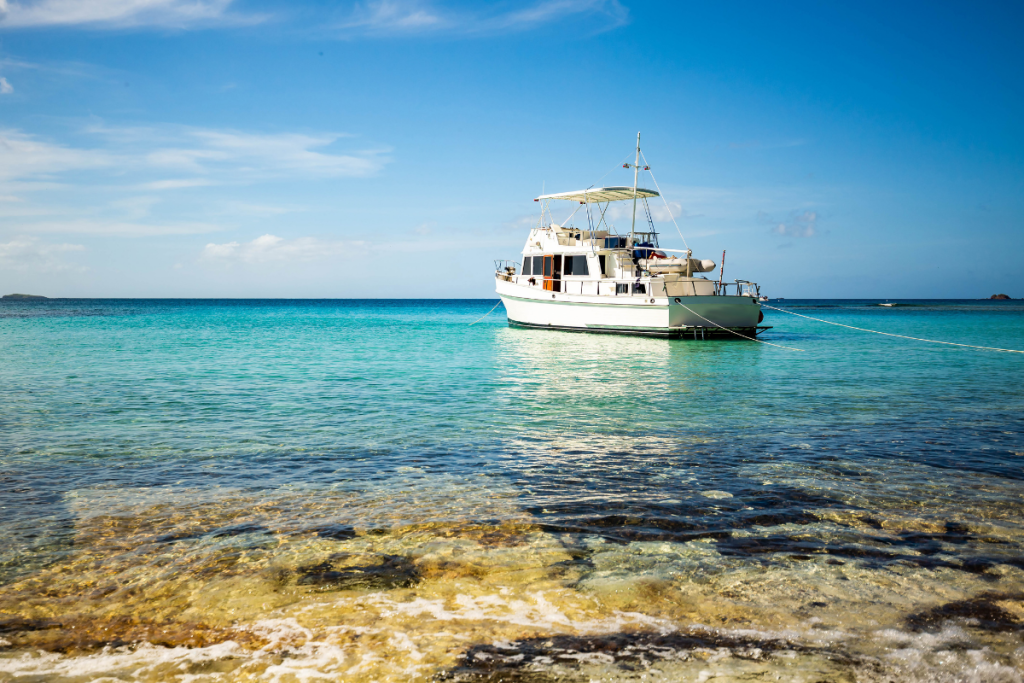 tour from Bali to Komodo Island