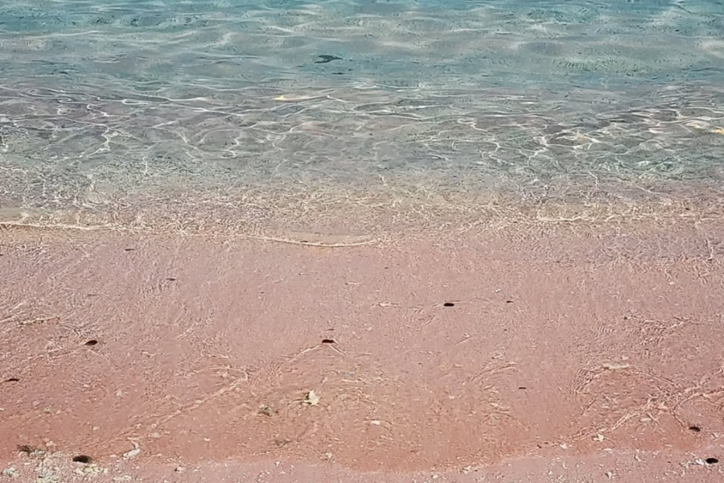 Pink Beach Komodo