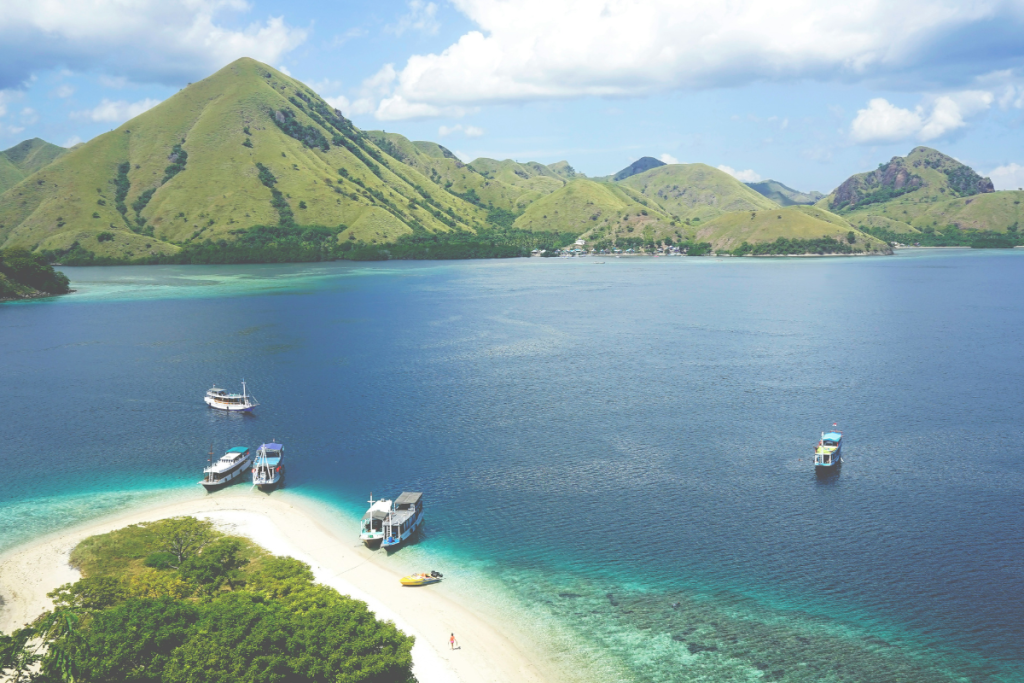 Komodo National Park animals