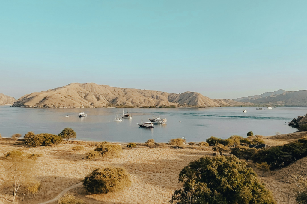 What is the best time to visit Komodo National Park