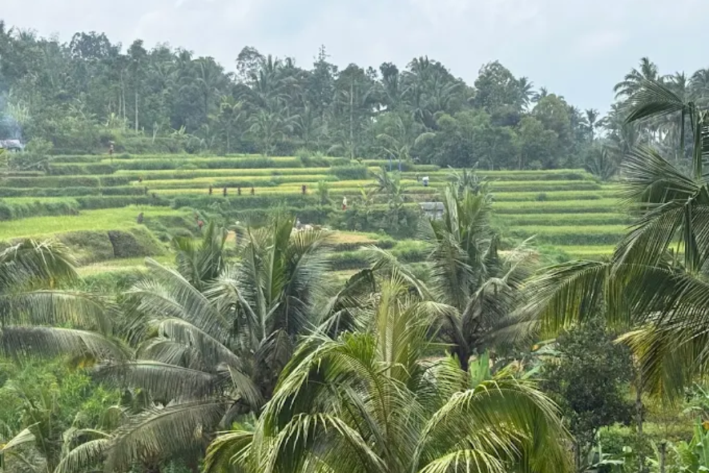 Things to do in Tetebatu