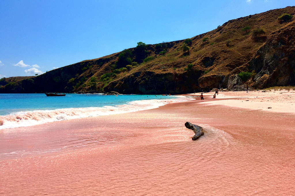 How to Get to Komodo National Park from Bali