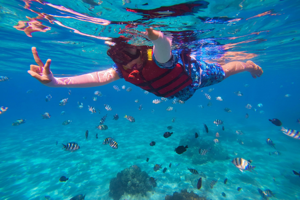 Komodo snorkeling tour