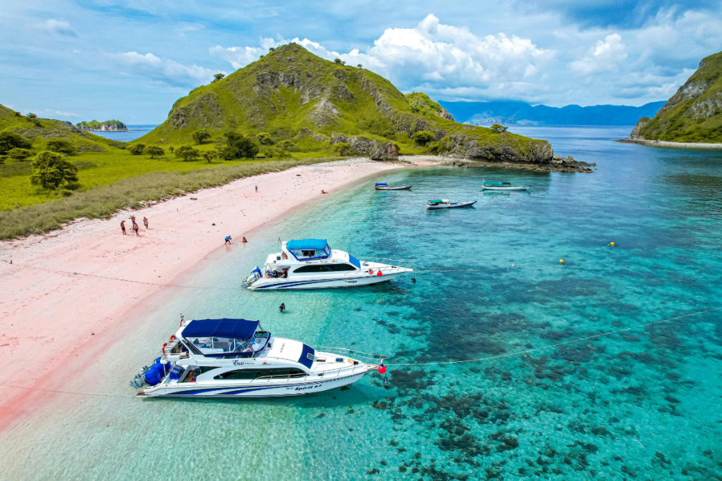Top Dive Sites in Komodo National Park