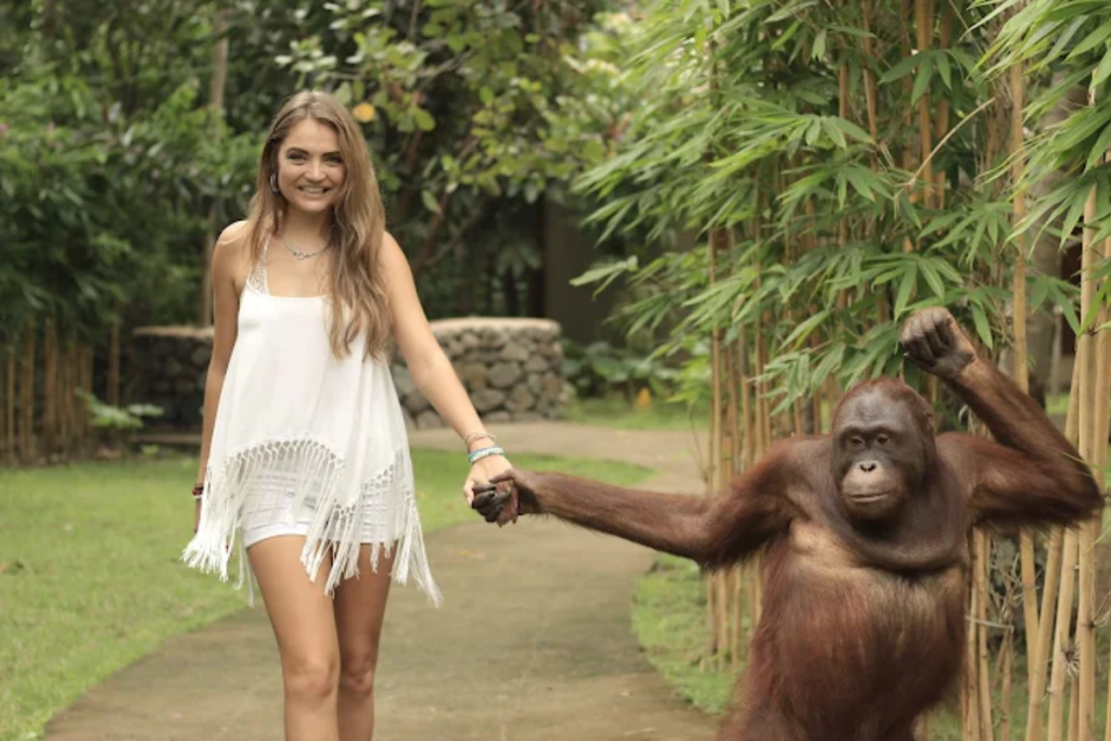 Things to do in Lombok
