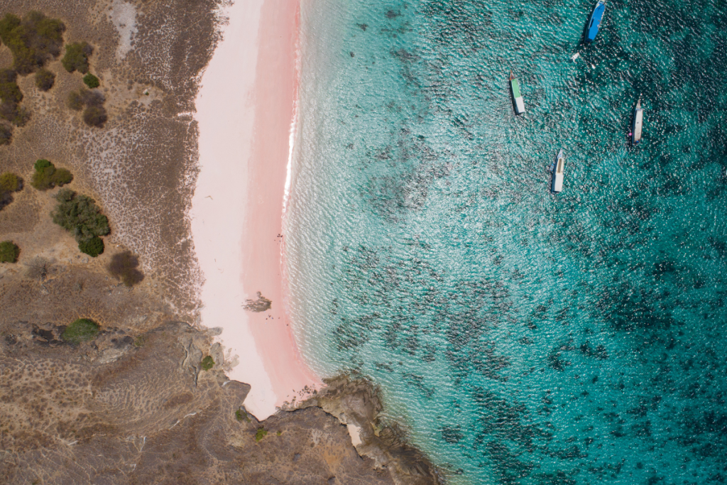 What is the Best Time to Dive in Komodo